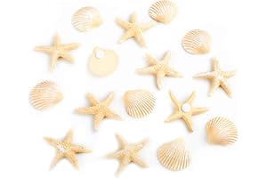 Logbuch-Verlag Set de 16 Mini Piezas Marinas: Estrella de mar + Concha en Tonos Crema/Dorados - decoración Marina