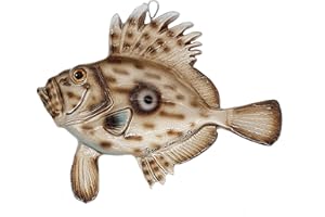 sicilia bedda - PESCI IN CERAMICA SICILIANA da Parete - Prodotti Artigianali realizzati a Mano (22x18, Pesce San Pietro)