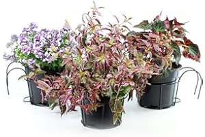 GOLDBEARUK Balcony Planters - Black Metal - Set of 3 - Balcony Planters Pot holders (Extra Large 29cm)