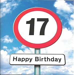 Twizler 17th Birthday Card For Teenager Roadsign 17 Year Old Age 17 Amazon Co Uk Stationery Office Supplies