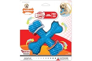 Nylabone, Osso da masticare per cani, Sapore di manzo, Large