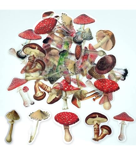 50 Stickers Champignons Mignons Kawaii - Autocollants étanches En Vinyle Pour Déco Laptop, Bouteille, Vélo, Valise