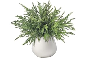 ‎ROLLWAY ROLLWAY 6 Stück Norfolk Pine Tannenzweige Künstlich wie echt，46cm Weihnachtszweige Künstliche Zweige Deko Weihnachten Zedernzweig Kiefernzweige, Kunst Tannenzweige Unechte Tannengrün Kunsttanne