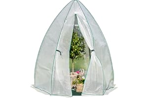 ‎WESTMANN WESTMANN Gewächshaus Winterzelt | 160x183 cm Weiß | Foliengewächshaus für den Garten | Anzuchthaus zum ganzjährigen Schutz von Gemüse & Pflanzen (160x160x183 cm)