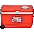 Aristo Insulated Icebox with Lid On Top, Wheel for Easy Access 60 LTR (Color May Vary)