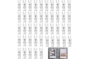 ZIRANEE Mini Mollette da Bucato,100 PCS Trasparenti Piccole Clip Fotografiche Pioli per Foto in Plastica Mollette Bucato per Artigianato Artistico Decorazione Matrimoni per Feste Fai-da-te 3 * 25 mm