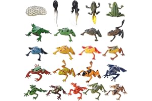 JOKFEICE Figurki zwierząt 22 sztuki realistyczne figurki żaba model akcji do projektu naukowego, zabawki edukacyjne do nauki, prezent urodzinowy dla dzieci