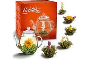 ‎CREANO Creano Teeblumen Geschenkset - Erblühtee Frühjahrslese mit 500ml Glaskanne & 6x Weißer Tee - 7 teilig - Geschenk zu Weihnachten