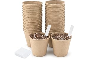 ‎KINGLAKE KINGLAKE 50 Stück 8 cm biologisch abbaubare runde Faser-Pflanztöpfe für Gemüse, Obst, Kräuter, Blumen