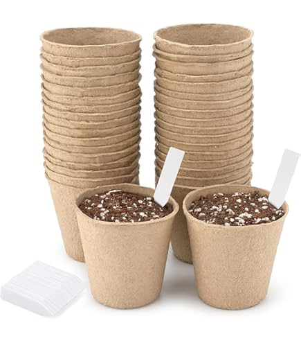 Lot De 10 Plateaux De Semis 12 Cellules - Kingston Tools, En Plastique Recyclé Fabriqué Au Royaume-Uni