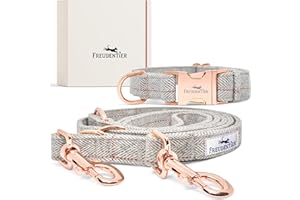 FREUDENTIER® Hundehalsband und Hundeleine im eleganten Set - 2m Leine, 3-Fach verstellbar - Robust & Winterfest | Das Original (30-40cm)