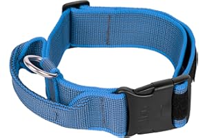 JULIUS K-9 Julius-K9, Collier Color & Gray avec poignée, fermeture de sécurité et logo, 50 mm (49-70 cm), Bleu-Gris