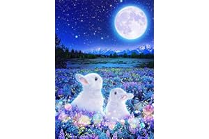 Vwoqiy 5D DIY Diamond Art Painting Kits, Diamant Malerei nach Zahlen Kits, Diamant Stickerei Leinwand Malerei Bilder Vollbohrer für Kinder Erwachsene, Wand Dekor - Moon Rabbit/30x40 cm