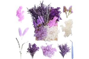 N BLESSING Real Dried Flowers Natural Dry Flowers Mixed Colors Dried Leaf Bouquet for DIY Arts, Resin, Jewelry, Scrapbooking & Wedding Home Decor (Purple)