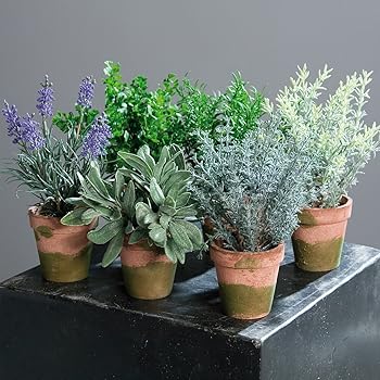 Amazon.de: Deko Küchenkräuter Set, 6 Stück, 12-21 cm