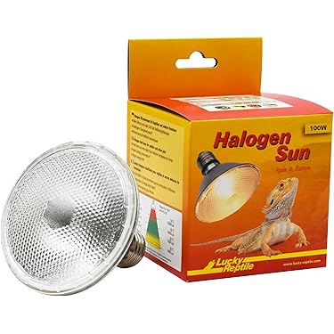 E27 fitting met schakelaar - 12V lampfitting voor LED verlichting