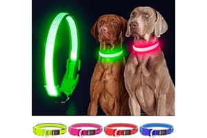 YFbrite Light up Dog Collar, Rechargeable LED Dog Collar, Flashing Dog Collar, Adjustable Reflective Dog Collar Safety Glowing at night (Green, Medium)