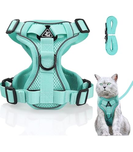 Kattkoppel Med Sele Fu00f6r Katter, Hundsele, Kattsele Med Koppel, Kattsele Och Koppel, Kattsele Liten Katt, Kattsele Och Koppel, Utomhuspromenader Kattkoppel Med Sele Fu00f6r Katter, Hundsele, Kattsele Med Koppel, Kattsele Och Koppel, Kattsele Liten Katt, Kattsele Och Koppel, Utomhuspromenader