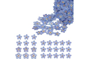 NURHORE 50Pcs Natural Forget Me Not Dried Flowers, Don't Forget Me Pressed Flowers, Blue Small Dried Pressed Flowers for Resin Scrapbooking DIY Jewellery Card Candle Craft Nail Decor