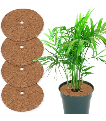Fibre De Coco La Cordeline Lot 5 Disques De Paillage Naturel 30cm En Feutre De Chanvre 600 G/m² – Protection Contre Les Mauvaises Herbes, Le Froid Et L'Évaporation, Marron Tapis Fibre Coco