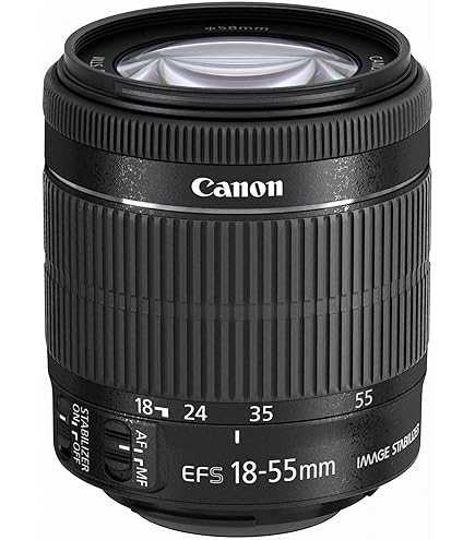 Canon EF-S 18-55mm f/3.5-5.6 IS STM Zoom Lens (Bulk Packaging