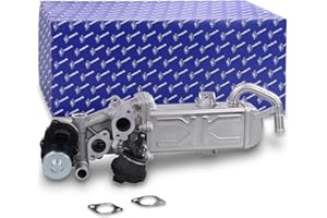 HELLA Pierburg 7.09720.00.0 - chłodnica, układ EGR