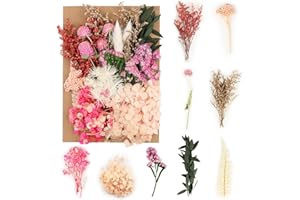 Tomoyuki Flores secas para Manualidades, Flores secas, Flores Naturales prensadas para Resina, Velas, Scrapbooking, Manualidades, Bolsos