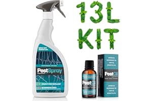 EFA INTERNATIONAL Peppermint Oil Spider Repellent - Make 13 litres Kit (Make 13 litres)