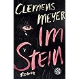 Im Stein: Roman