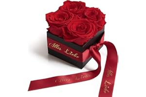 ‎ROSEMARIE SCHULZ HEIDELBERG ROSEMARIE SCHULZ Heidelberg Alles Liebe Blumenversand - Rosenbox 8,5x8,5cm 4 echte Rosen haltbar 3 Jahre - Geschenk zum Muttertag (Alles Liebe, Rot)