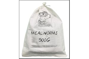 Livefoods4u Live Mealworm 500g Bulk Bag (20-30mm) - Live Food for Reptiles & Garden Birds