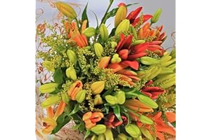 Homeland Florists Asiatic Lily Fresh Flowers Delivery Next Day Prime, Send a Luxury Gift Wrapped Bouquet of Lilies with Personalised Handwritten Card