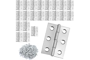 JRSHIRLEYLTD Lot de 22 charnières pliables en acier inoxydable 44 mm × 31 mm avec vis - Charnières en acier inoxydable - Petite bande de charnière - Pour portes, fenêtres, armoires