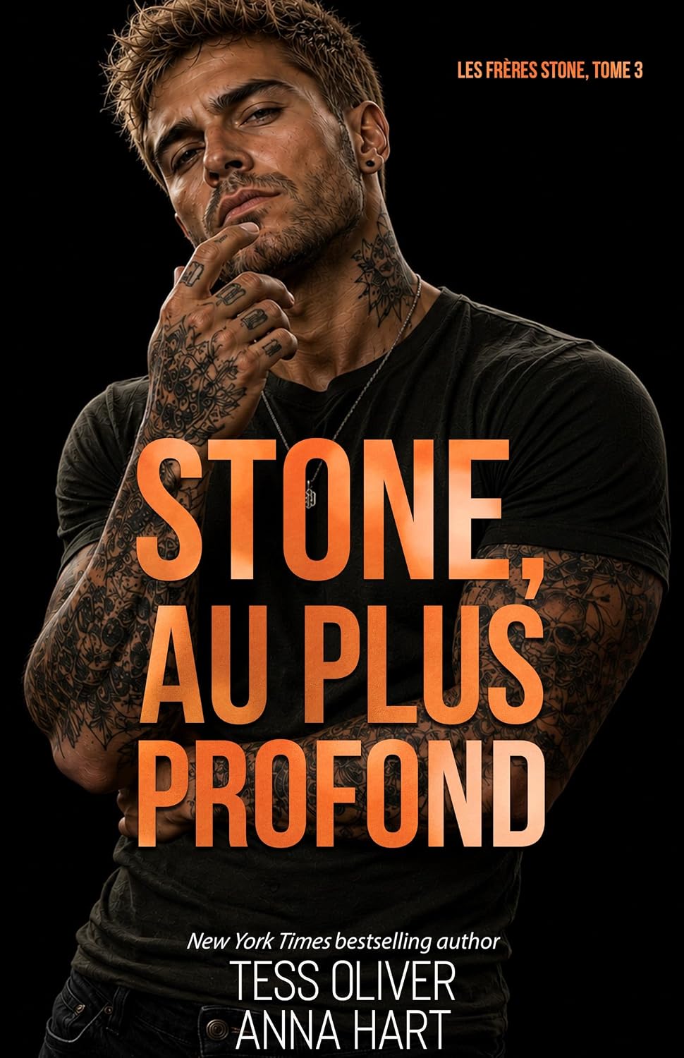 Stone, froidement dangereux (Les Frères Stone t. 1) - Mise en situation et utilisation