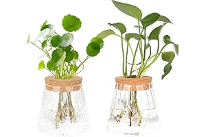 MJFENDAI Set med 2 små vintageglasvaser för vattenodling - Bordsdekoration - Glasvas - Förökningsstation
