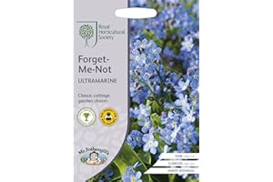 MR FOTHERGILLS Mr Fothergill's - RHS Forget-Me-Not Ultramarine, Blue