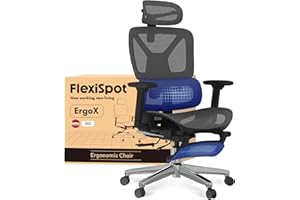 FLEXISPOT ErgoX Silla de Oficina Ergonómica con Soporte Lumbar, Respaldo 5D, Reposabrazos 3D, Reposapiés Retráctil, Cojín Transpirable, Inclinación 135°, Escritorio Ajustable Silla de Escritorio Gris