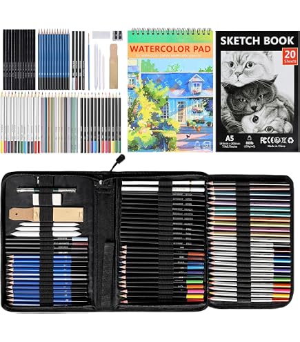 Kit Professionnel De 70 Crayons Et Accessoires Dessin - Pour Artistes Et étudiants - Ombre, Fusain, Estompe, Gomme