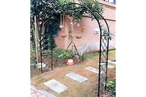 ARTSIM Arche Jardin Fer forgé Arche à rosiers Exterieur 140cm 200cm 240cm 260cm 310cm 350cm 370cm pour Plante Grimpantes Noir Blanc (Color : Noir, Size : 280cm x 250cm)
