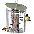 The Nuttery RNMD01 Roundhaus Seed Squirrel Proof Bird Feeder, Celadon Green