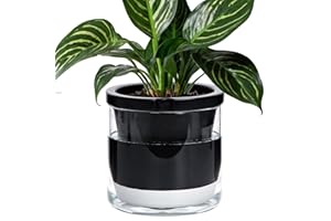 D'vine Dev 8 Inch Design Self Watering Planter for Indoor Plants, Black Terracotta Pot with Cylinder Glass Cup, 37-X-C-3