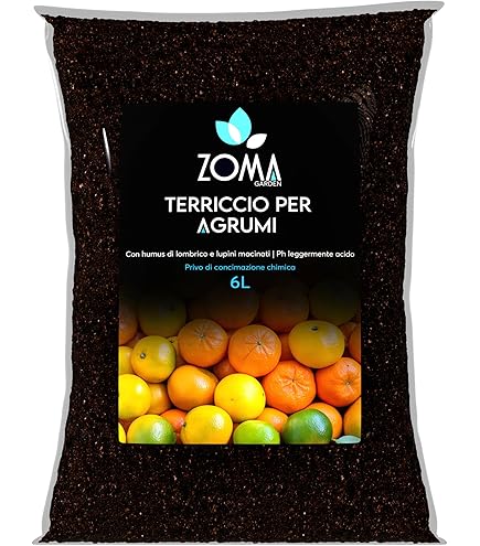 Mapo - Ibrido Mandarino Avana X Pompelmo Duncan - Oscar Tintori - Gli