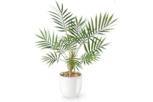 PASCH® Sztuczna palma Areca (35 cm) w białej doniczce ceramicznej: sztuczne rośliny jak prawdziwe | sztuczne rośliny w doniczce | sztuczna palma | sztuczne kwiaty w doniczce | mała sztuczna palma