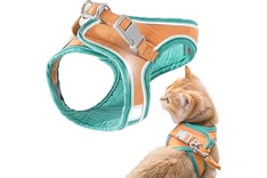 GeeRic Harnais et Laisse pour Chat, Veste de Marche Confortable pour Chat avec Laisse, Harnais de Gilet à Enfiler, Bandes Réfléchissantes Respirantes, Veste pour Petits Chats Moyens Vert Grand