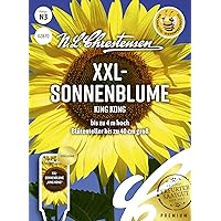XXL- Sonnenblume King Kong Samen, Saatgut