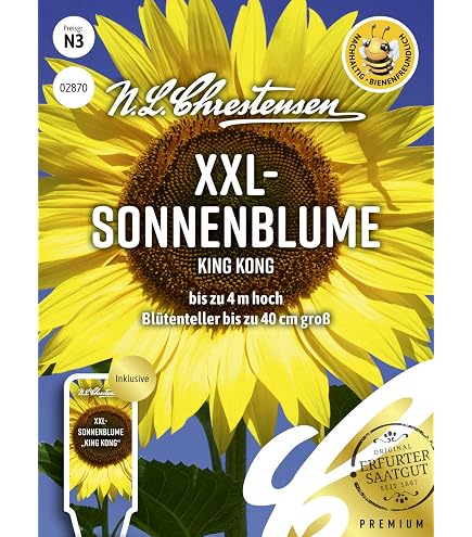 Sonnenblume Farbenpracht Sonnenblumen Mischung mehrstielige Sonnenblume  Saatgut fr ca. 30 Pfl. Sonnenblumenkerne : Amazon.de: Garten