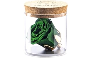 Amoroses Bijou - Rosa Stabilizzata Eterna con calice placcato oro 24K in barattolo di vetro | Idea Regalo (Rosa Verde Foresta)