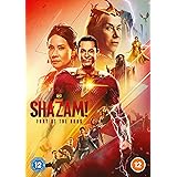 Shazam! Fury of the Gods [DVD] [2023]