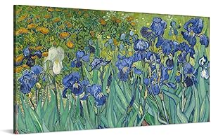 PICANOVA – Vincent Van Gogh Iris 100x50cm – Photo sur Toile – Impression sur Toile Haut de Gamme – Image sur Toile pour Décoration Murale Moderne