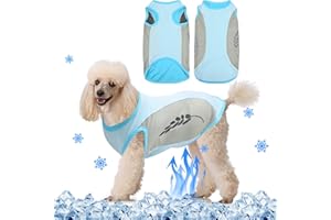 JODSEN Hundekühlweste,Sommer Cool und Bequem Hundemantel Atmungsaktiv Mesh Hundejacke mit Reflektorstreifen,Leichte Hunde-EIS-Kühlung T-Shirts für kleine bis mittelgroße Hunde (XL, Blau)